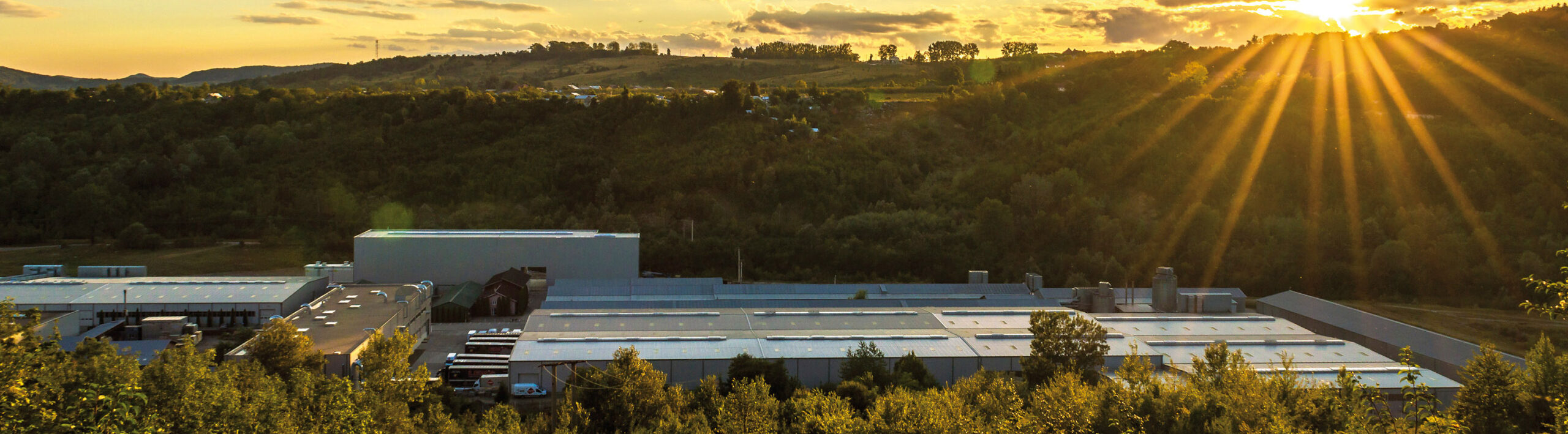 contact-banner