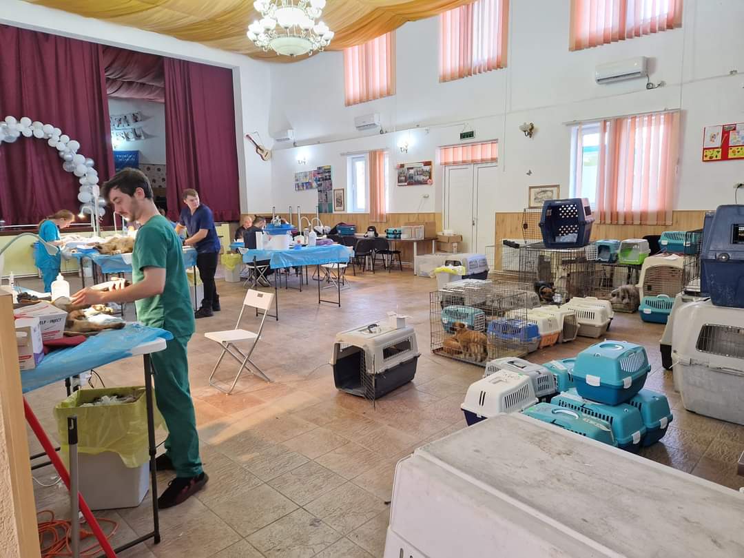 Asociația Arca lui Norocel – SPONSORIZARE