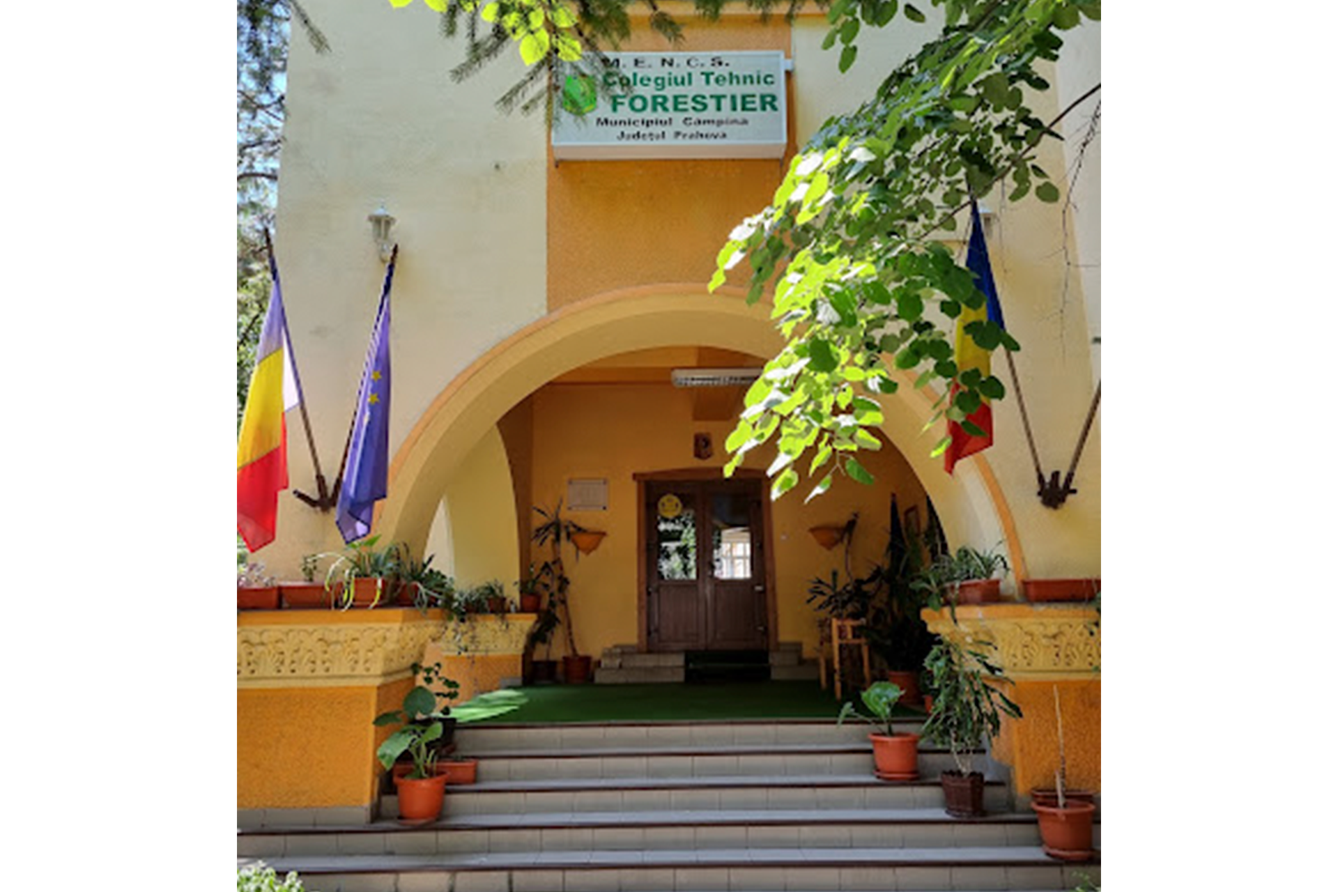Sponsorizare – Balul Bobocilor 2024 – Colegiul Tehnic Forestier
