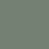 Verde eucalipt