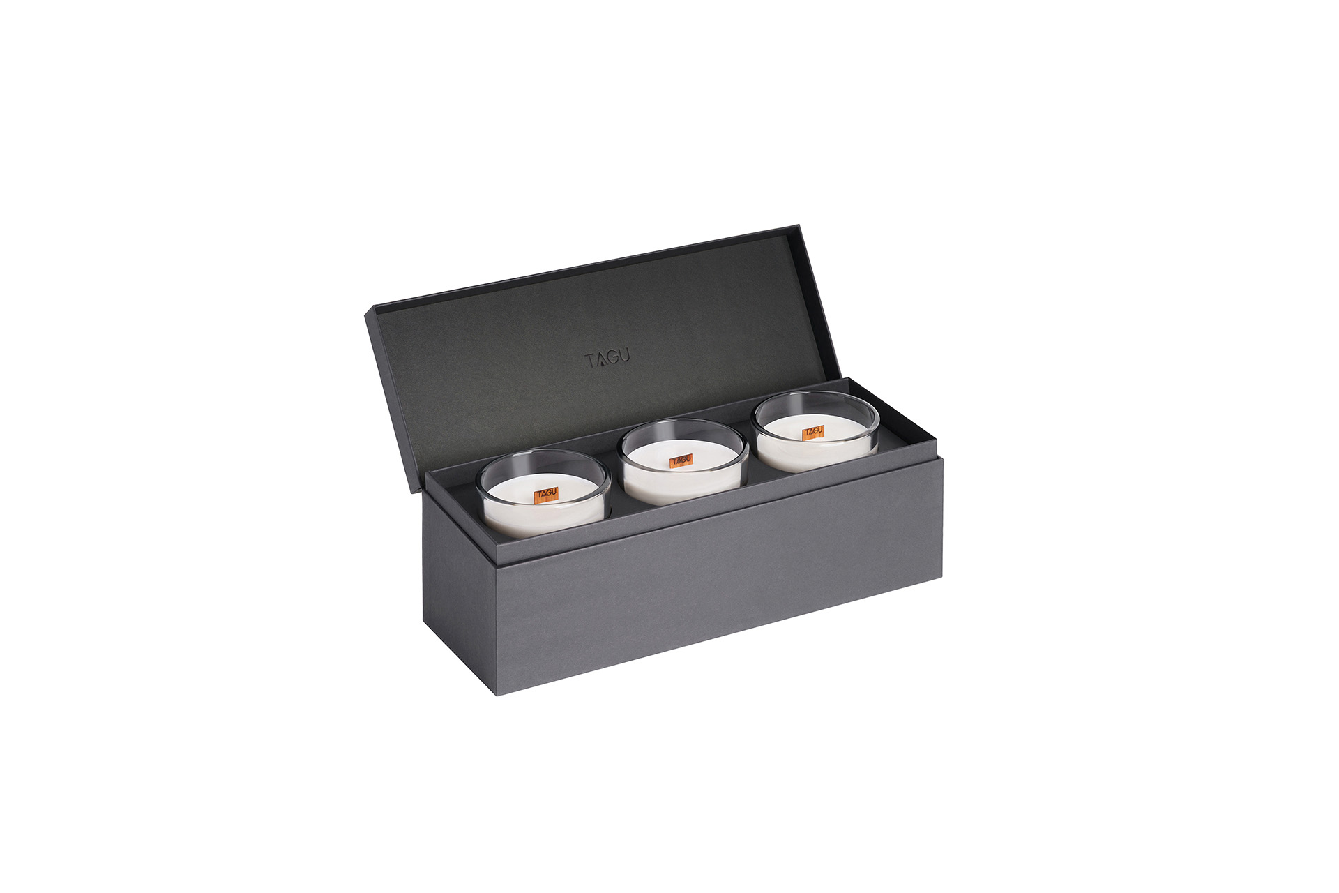 Șemineu Larsen alb + focar ZenFlame FM462WH1 + D611 - imagine 9